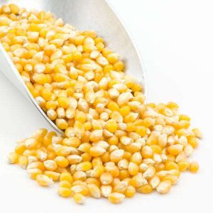 Popcorn – Gelb