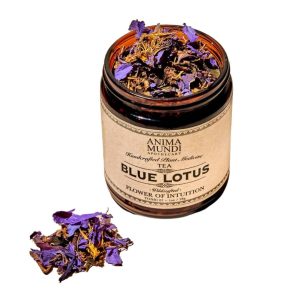 Blau – Lotus – Tee – 4 – Glas – × – 1oz